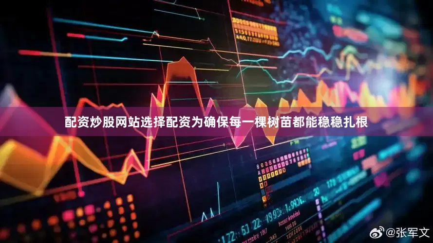 配资炒股网站选择配资为确保每一棵树苗都能稳稳扎根