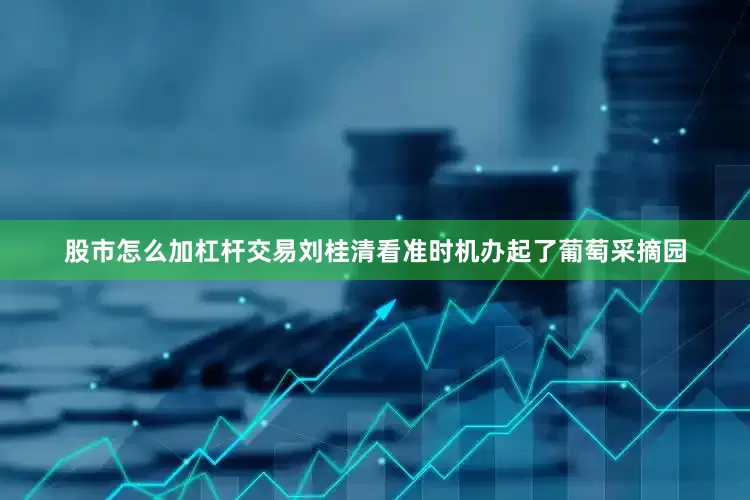 股市怎么加杠杆交易刘桂清看准时机办起了葡萄采摘园